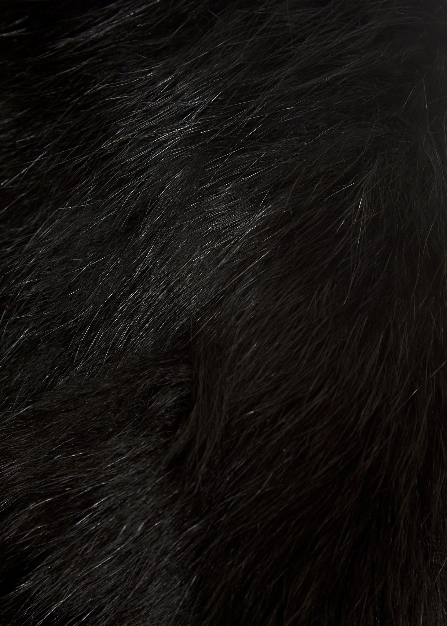 Black Genuine Fox Fur Collar - Jessimara