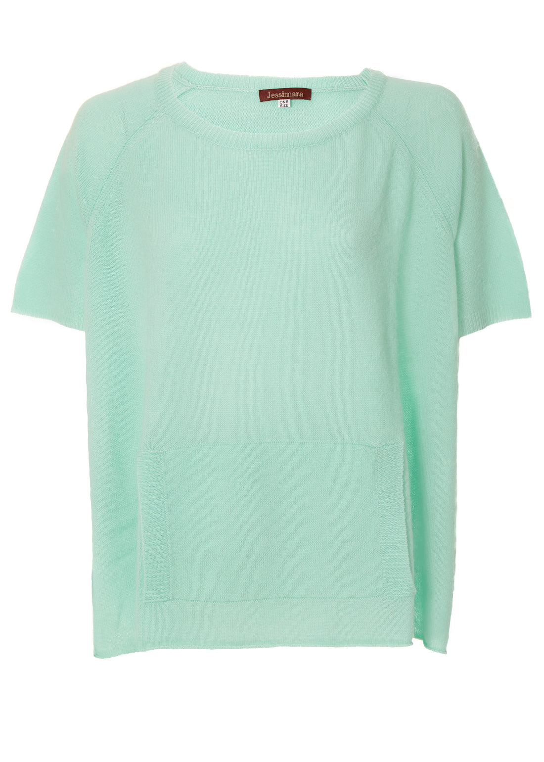 Alyn Soft Mint Short Sleeve Cashmere Sweater