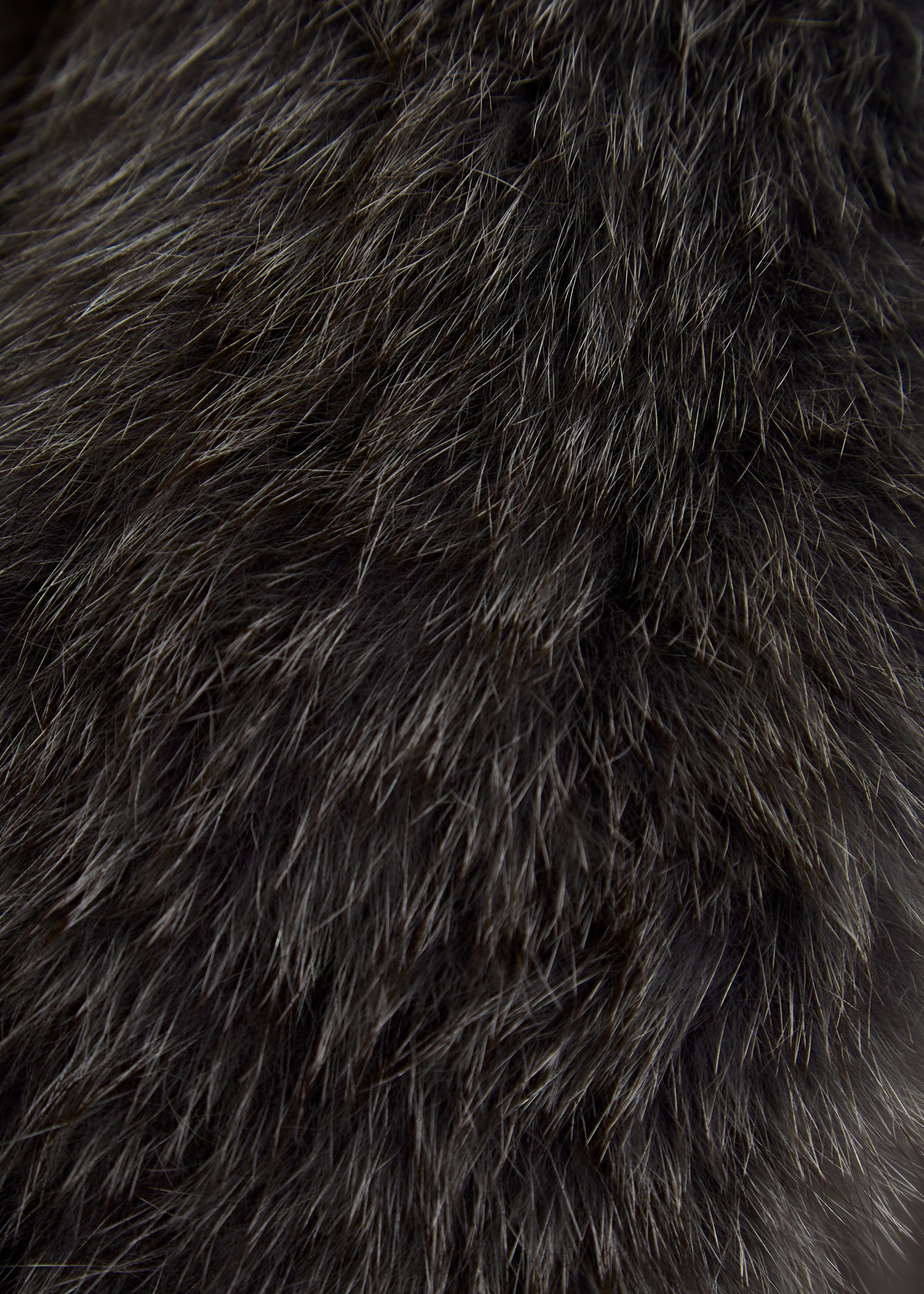 Grey Genuine Fox Fur Collar - Jessimara