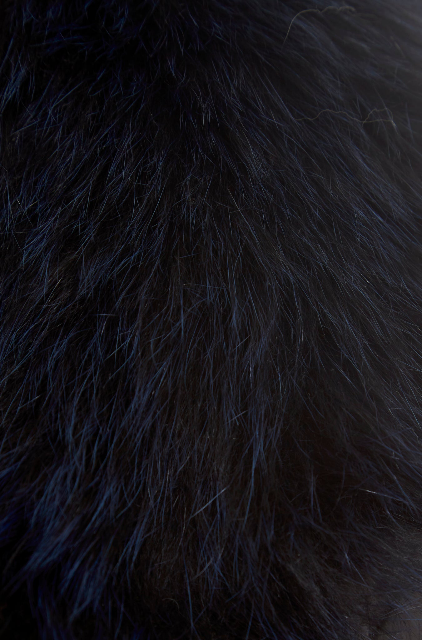 Navy Blue Genuine Fox Fur Collar - Jessimara